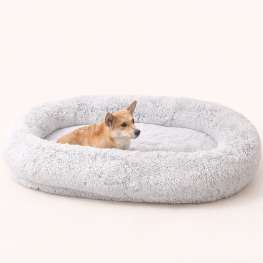The CloudBed Duo – Human & Dog Shared Bed
