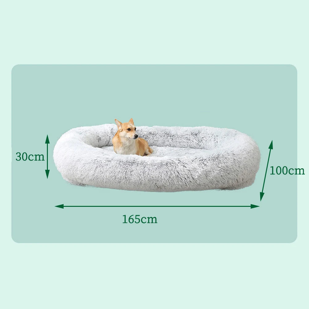 The CloudBed Duo – Human & Dog Shared Bed