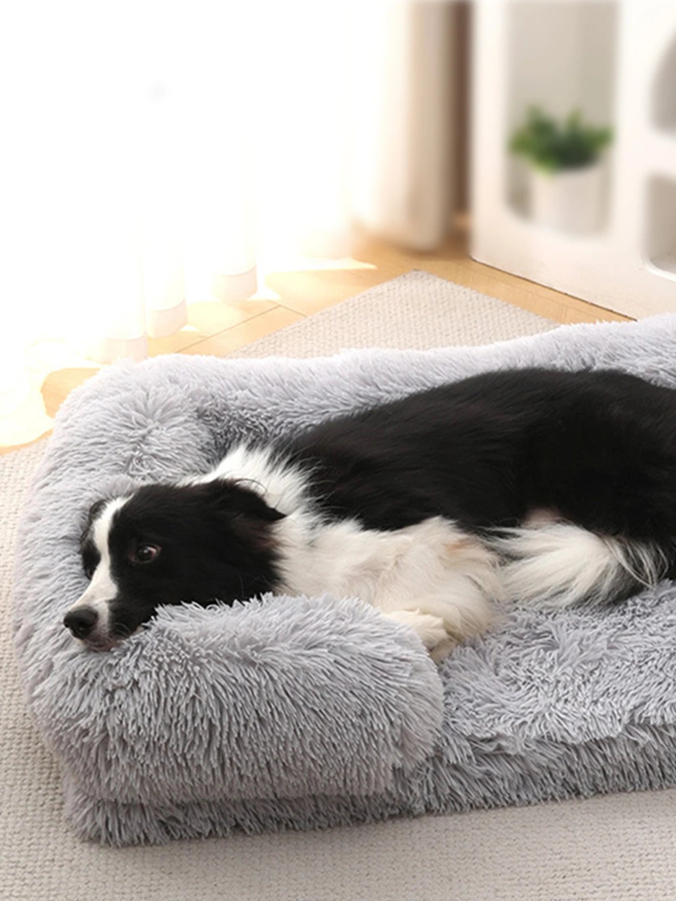 The CloudBed Ortho Plush – Calming Orthopedic Dog Bed