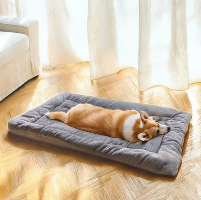 The CloudBed XL – Extra Large Dog Bed