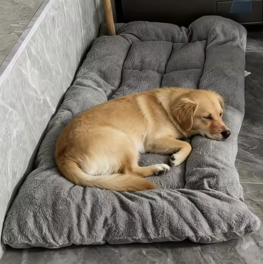 The CloudBed XL – Extra Large Dog Bed