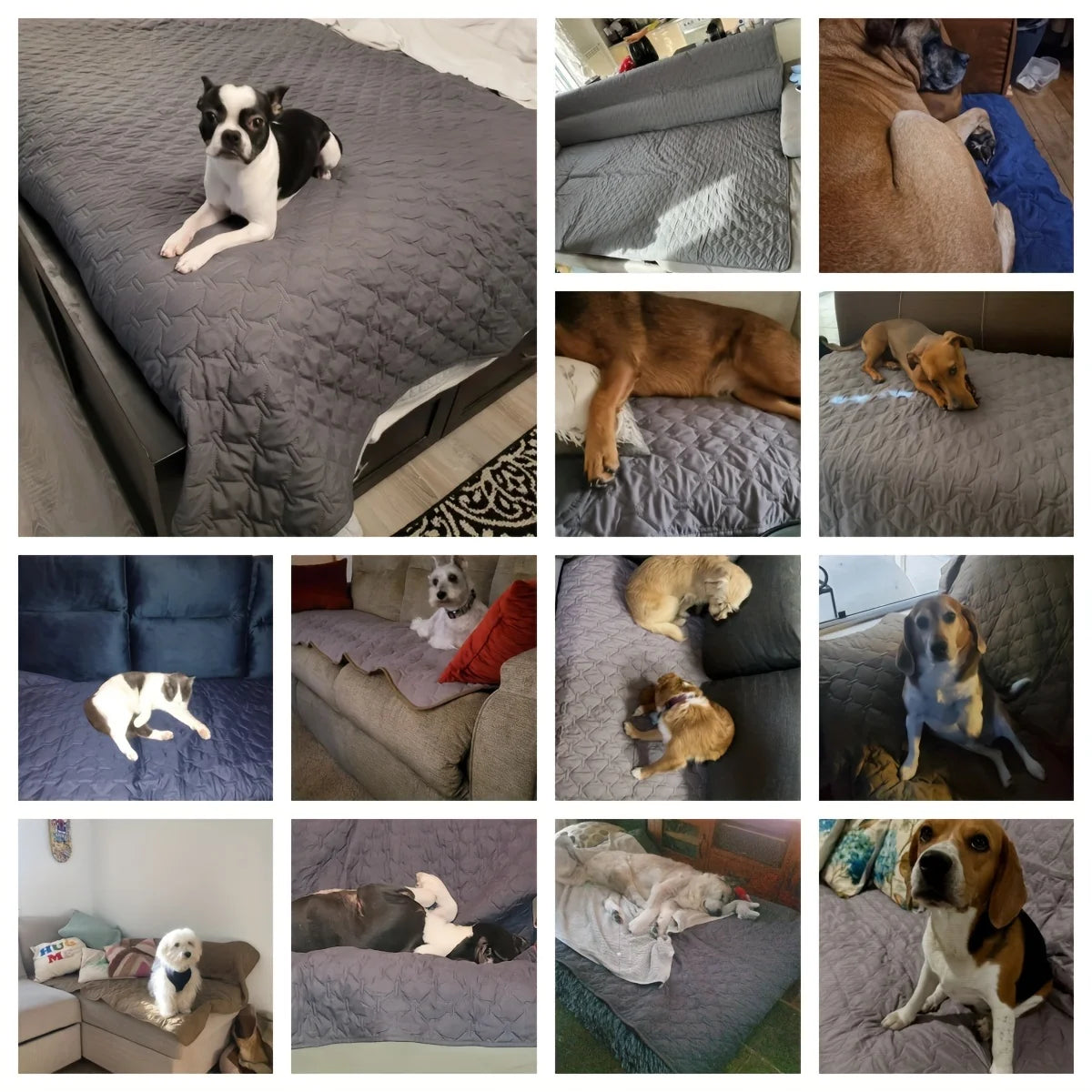 The CloudBed Waterproof Dog Blanket – Double-Sided Pet Sofa & Furniture Protector