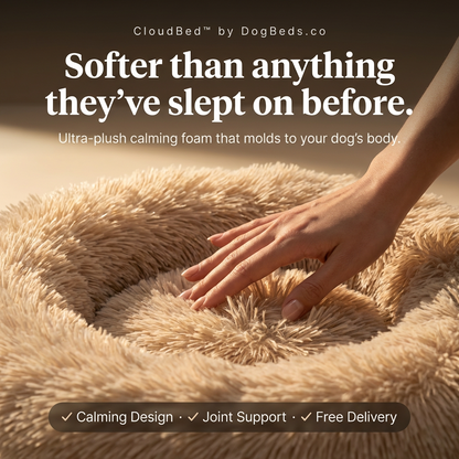The CloudBed Donut – Calming Plush Donut Dog Bed